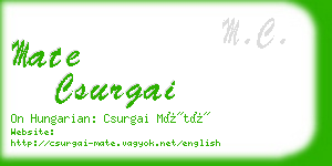 mate csurgai business card